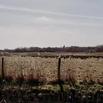 Rustic Getaway W Bikes *