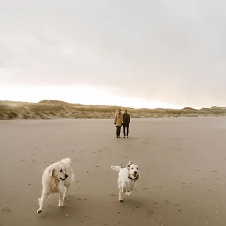 Rustic Getaway W Bikes Ferienhaus