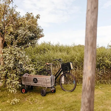 Rustic Getaway W Bikes