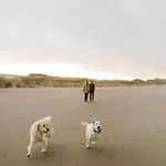 Rustic Getaway W Bikes * Callantsoog