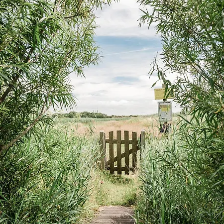 Rustic Getaway W Bikes